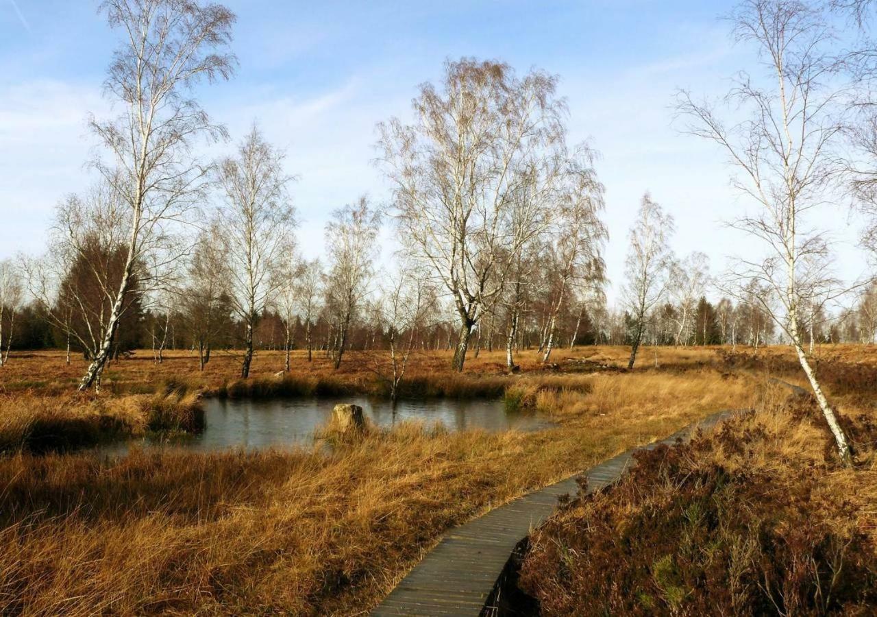 Вилла Ferienhaus Uchte / Darlaten Экстерьер фото